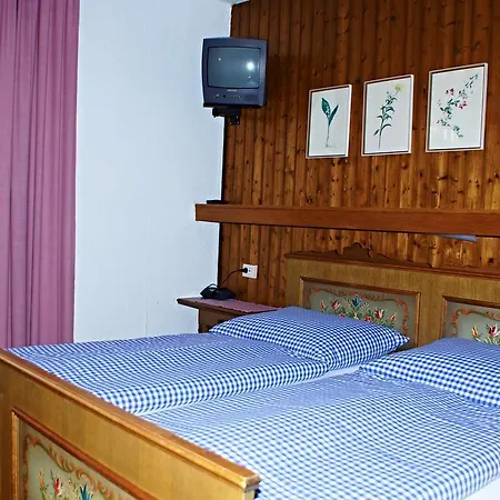 Alpentraum Guest house Zell am See
